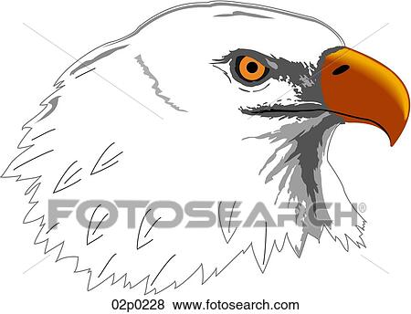 eagle View Large Clip Art Graphic Clip Art - eagle. Fotosearch