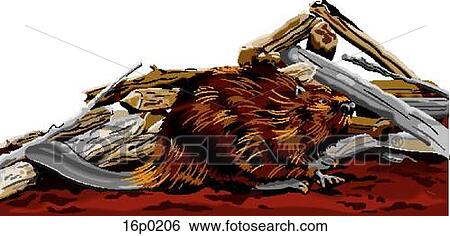 Beaver View Large Clip Art Graphic Clip Art - Beaver. Fotosearch
