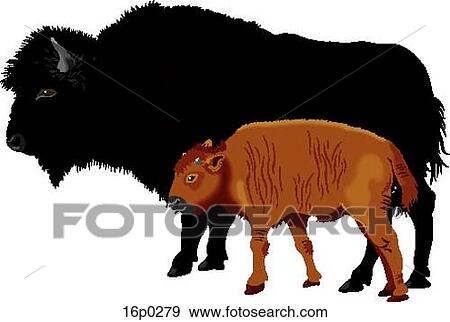 Buffalo with Calf View Large Clip Art Graphic Clip Art - Buffalo with Calf. Fotosearch