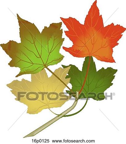Fall Maple Leaves View Large Clip Art Graphic Clipart - Fall Maple Leaves. Fotosearch