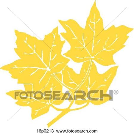 Clipart - Gold Maple Leaves. Fotosearch