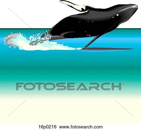 Humpback jumping (CN) View Large Clip Art Graphic Clip Art - Humpback jumping (CN). Fotosearch