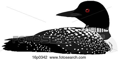 Clipart - Loon. Fotosearch