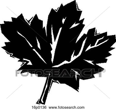Clip Art - Maple Leaf. Fotosearch