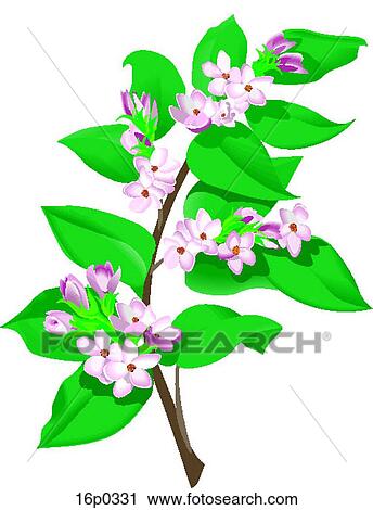 Mayflower View Large Clip Art Graphic Clipart - Mayflower. Fotosearch
