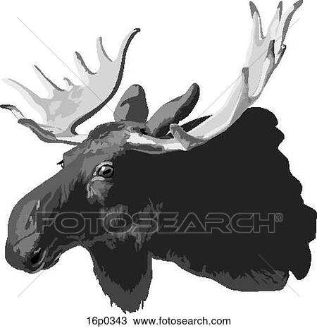 Moose Head View Large Clip Art Graphic Clipart - Moose Head. Fotosearch