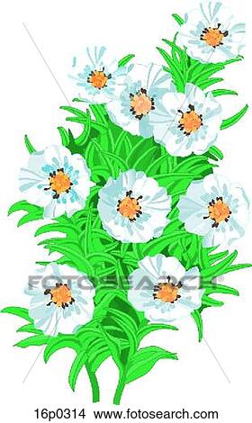 Clipart - Mountain Avens. Fotosearch