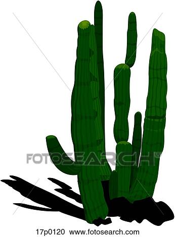 Clipart - Cactus Clasico. Fotosearch