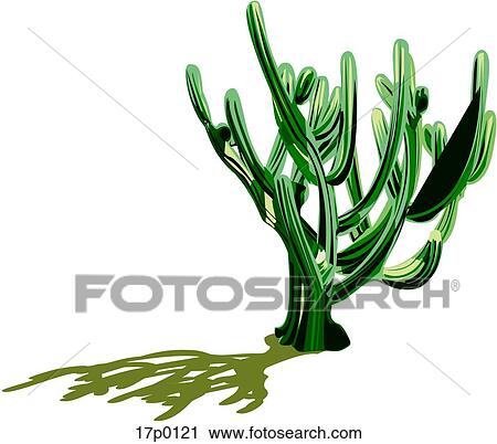 Cactus del Desierto View Large Clip Art Graphic Clipart - Cactus del Desierto. Fotosearch