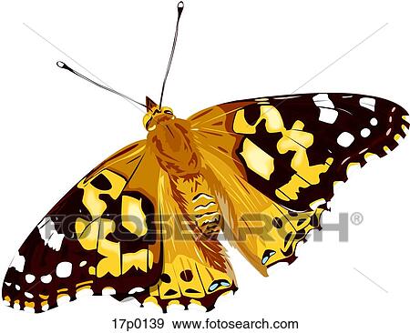 Mariposa Dama Pintada View Large Clip Art Graphic Clip Art - Mariposa Dama Pintada. Fotosearch