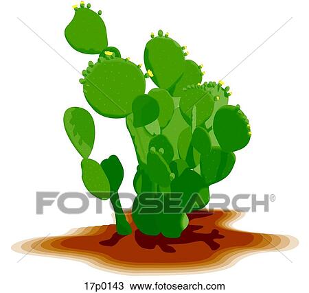 Clipart - Nopal Tapon. Fotosearch