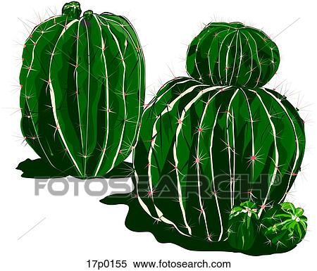 Clipart - Viznaga de Lima. Fotosearch