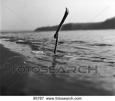 Abstract Branch in Stream View Large Photo Image Stock Photo - Abstract Branch in Stream . Fotosearch