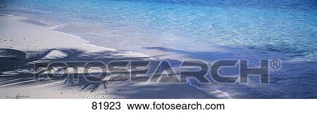 Beach US Virgin Islands View Large Photo Image Stock Image - Beach US Virgin Islands. Fotosearch