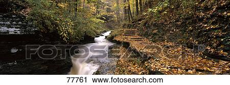 Stock Image - Buttermilk Creek Ithaca NY. Fotosearch