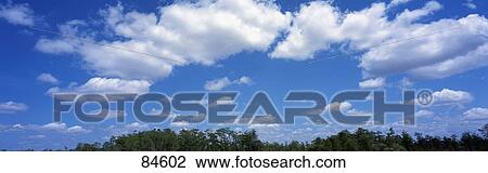 Stock Image - Clouds FL. Fotosearch
