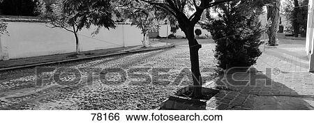 Stock Photograph - Cobblestone Street Scene San Miguel de Allende Mexico. Fotosearch