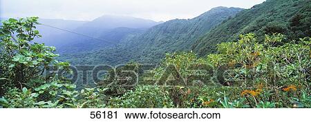 Stock Image - Continental Divide Monteverde Costa Rica. Fotosearch