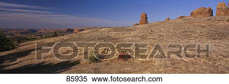 Desert Paintbrush Arches National Park UT View Large Photo Image Stock Photography - Desert Paintbrush Arches National Park UT. Fotosearch