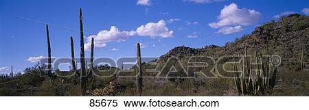 Desert Road AZ View Large Photo Image Stock Photography - Desert Road AZ. Fotosearch