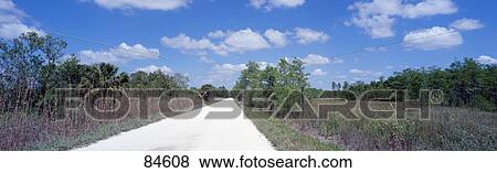 Fakahatchee Strand State Preserve FL View Large Photo Image Stock Photo - Fakahatchee Strand State Preserve FL. Fotosearch