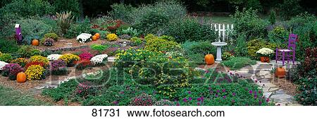 Stock Image - Fall Residential Garden . Fotosearch