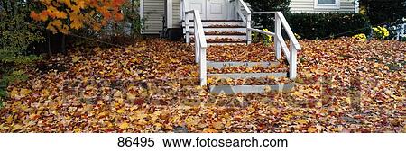 Fallen Leaves Manchester NH View Large Photo Image Stock Photography - Fallen Leaves Manchester NH. Fotosearch