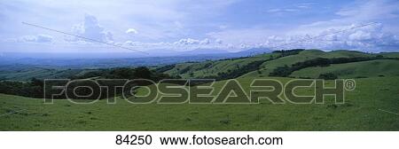 Stock Image - Farm Land Santa Luis Valley Puntarenas Costa Rica. Fotosearch