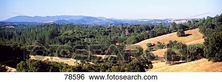 Stock Photograph - Field Amador County CA. Fotosearch