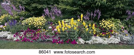 Flowering Border Niagara Parks Botanical Gardens Ontario Canada View Large Photo Image Stock Image - Flowering Border Niagara Parks Botanical Gardens Ontario Canada. Fotosearch
