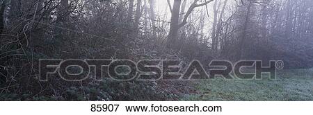 Fog and Frost in Meadow WA View Large Photo Image Stock Photo - Fog and Frost in Meadow WA. Fotosearch