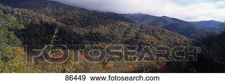 Stock Photo - Great Smoky Mountains National Park TN. Fotosearch