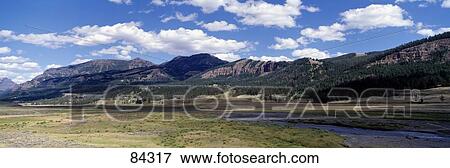 Lamar Valley Soda Butte Creek Yellowstone National Park WY View Large Photo Image Stock Photo - Lamar Valley Soda Butte Creek Yellowstone National Park WY. Fotosearch
