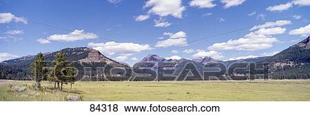 Lamar Valley Yellowstone National Park WY View Large Photo Image Stock Photo - Lamar Valley Yellowstone National Park WY. Fotosearch