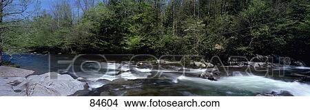 Picture - Little Pigeon River Great Smoky Mtns National Park TN. Fotosearch