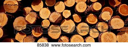 Logs View Large Photo Image Stock Photo - Logs. Fotosearch