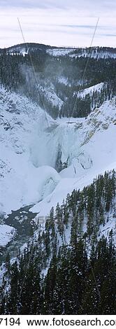 Picture - Lower Yellowstone Falls Yellowstone National Park CA. Fotosearch