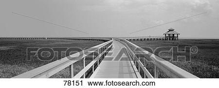 Marsh Boardwalk TX View Large Photo Image Stock Image - Marsh Boardwalk TX. Fotosearch