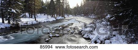 Picture - Metolius River Jefferson County OR. Fotosearch
