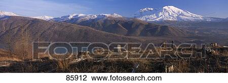 Mt St Helens National Volcanic Monument WA View Large Photo Image Stock Image - Mt St Helens National Volcanic Monument WA. Fotosearch