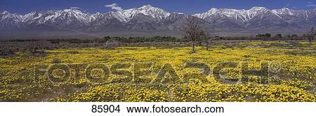 Picture - Mt Williamson Sierra Nevada Mountain Range CA. Fotosearch