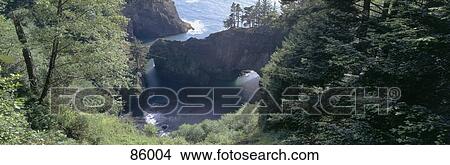 Picture - Natural Bridges Cove Samuel H Boardman State Pa rk OR. Fotosearch