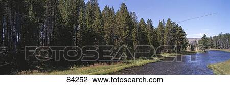 Stock Image - Nez Perce Creek Lower Geyser Basin Yellowstone National Park WY. Fotosearch