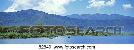 Ngorongoro Crater Tanzania Africa View Large Photo Image Stock Image - Ngorongoro Crater Tanzania Africa. Fotosearch