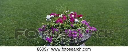 Stock Photo - Niagara Parks Botanical Gardens Ontario Canada. Fotosearch