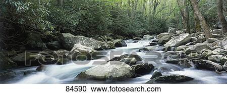 Stock Image - Porter Creek Great Smoky Mtns National Park TN. Fotosearch