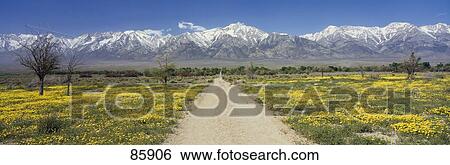 Stock Photograph - Road Through Sierra Nevada Mountain Range CA. Fotosearch