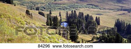Stock Photograph - Shoshone National Forest WY. Fotosearch