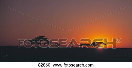 Stock Image - Sunrise Serengeti Tanzania Africa. Fotosearch