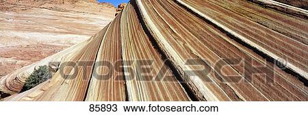 Stock Image - The Wave Navajo Sandstone Formation Vermilion Cliffs Wilderness AZ. Fotosearch